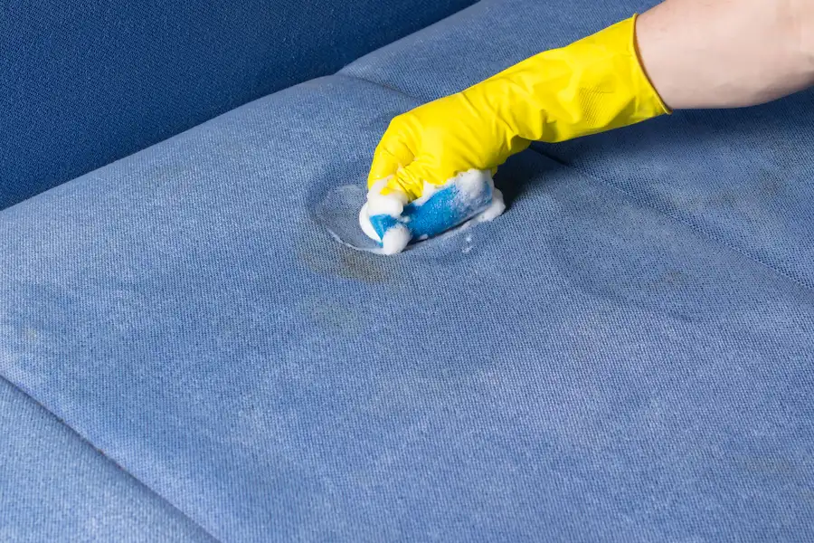 Common Stains On Upholstery And How Professional Cleaning Helps Salem, OR Common Stains On Upholstery And How Professional Cleaning Helps Salem, OR