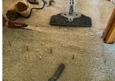 Trusted Carpet Cleaning Service