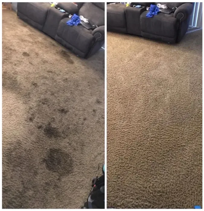 Carpet Cleaning Service Provider