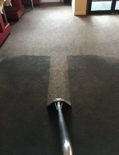 Professional Rug Cleaning in Salem, OR