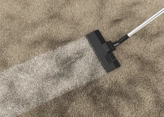 Local Carpet Cleaning in Salem, OR